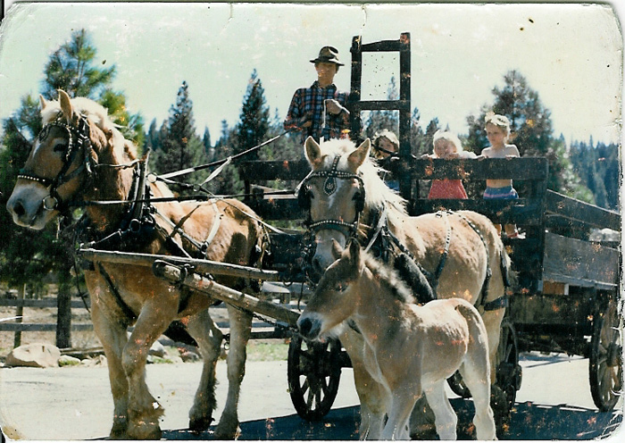 117-FGK-Hilltop Haywagon